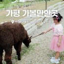 장산IC 서울방향 | 경기도 가평 가볼만한곳 양떼목장 4번이나 찾은 이유 가평 카페 후기