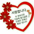 택시 요금이 아까웠던 남편은 집까지 40여 분을 걸어왔다 - 이미지