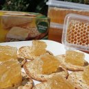 여왕벌PC 이미지