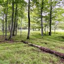 Globally Consulting  이미지