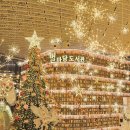 하늘향기충성가족도서관 | 스타필드 코엑스몰 놀거리 별마당도서관 서울 크리스마스