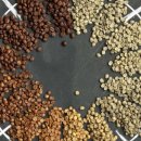 바리스타초급(화) 이미지