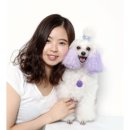 피카소 동물병원 미용 이미지