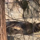 기린03-2 이미지