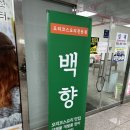 양산 맛집 추천 누룽지백숙 백향 내돈내산 후기