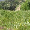 초월읍-10 이미지