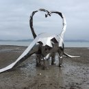 2025년 4월 23일 남파랑길 76코스 운행기록 이미지