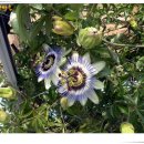 유성구청 이미지