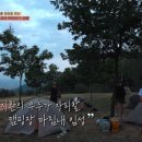 까르보네 티스토리