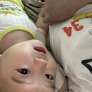 세종튼튼치과의원 네이버블로그