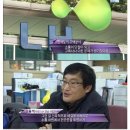 한국 임대아파트 현관문 투명하게 만든 이유 jpg 이미지