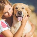 장산동물병원 이미지