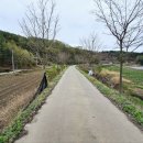 내성천 제방도로 이미지