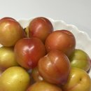 향농원 | 여름제철과일 대석자두, 부드러운 과육과 달콤한 맛이 특징인 애플향농원 후기