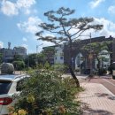 씨유(CU) 대전은어송마을점 | 산책 : 충남 공주 공산성, 풀꽃문학관, 공주 시내 제민천