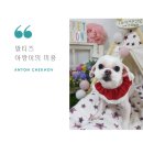 마이 펫 살롱 이미지