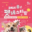 펫페스티벌 이미지