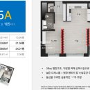 올리브 비치 이미지