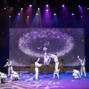 한국영원 태권도 이미지