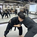 강진태권도 이미지