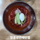 매탄삼거리 | 무더위 날리는 시원한 한 그릇! 수원 매탄동 &#39;함흥냉면 매탄점&#39; 솔직 후기 🍜 (feat. 현지인 찐맛집)