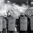 1987년 6월 항쟁... 그리고 박종철과 이한열... 이미지
