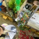 손만듀