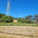 전북 고창군 신림면 반룡리 산89번지 임야(밭으로 개간 사용중) 이미지