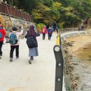 천주교순례길 이미지