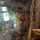 도곡농장2 이미지