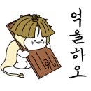 신세계육칼 이미지