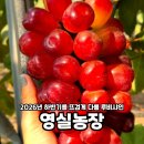 영실농장 이미지