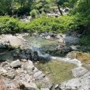 왕소나무민박 이미지