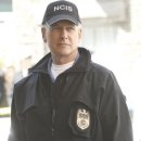 마크 하몬 주연의 [NCIS] 3-17 : 국립공원 살인 사건(Ravenous/2006) 이미지