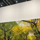 대현G골프 이미지