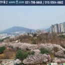 썬공인중개사사무소 이미지