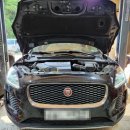 TM 모터스 이미지