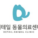 출근길 강아지 유치원 네이버블로그