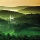 음악이흐르는숲 이미지