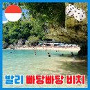 빠당빠당 | 빠당빠당비치 입장료 후기 발리남부투어