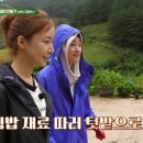 세끼김밥 - 마포구 백범로 84 | 세끼김밥