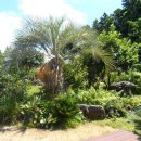 회수동-1 이미지