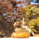 수지태양광발전소 이미지