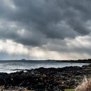 위미2리 교차로 이미지