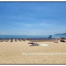 더뷰(2) | 부산 시그니엘 더뷰 공휴일 런치2부 후기