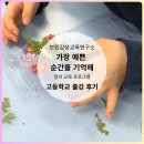 천안여자고등학교 | 가장 예쁜 순간을 기억해┃천안여고 압화꽃 수업 후기. 보람감성교육연구소