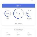 집순이