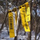 남동71 Daum카페