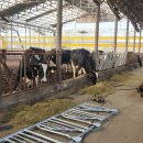 축사 신축공사 이미지