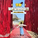 영월종교미술박물관 | 영월 여행 젊은달와이파크 관광지 추천 입장료 할인 방법